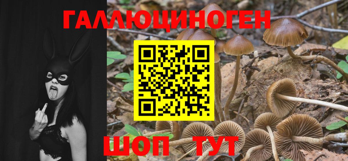 Галлюциногенные грибы прущие грибы Орёл